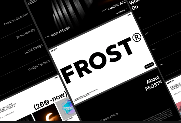 FR0ST®