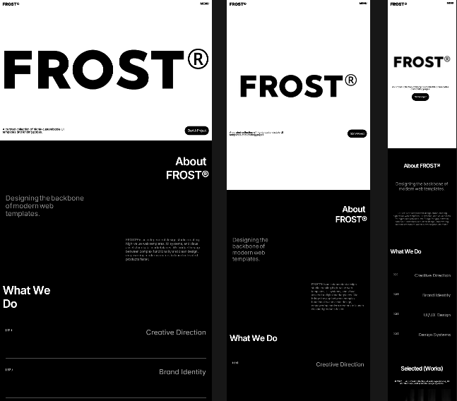 FR0ST®