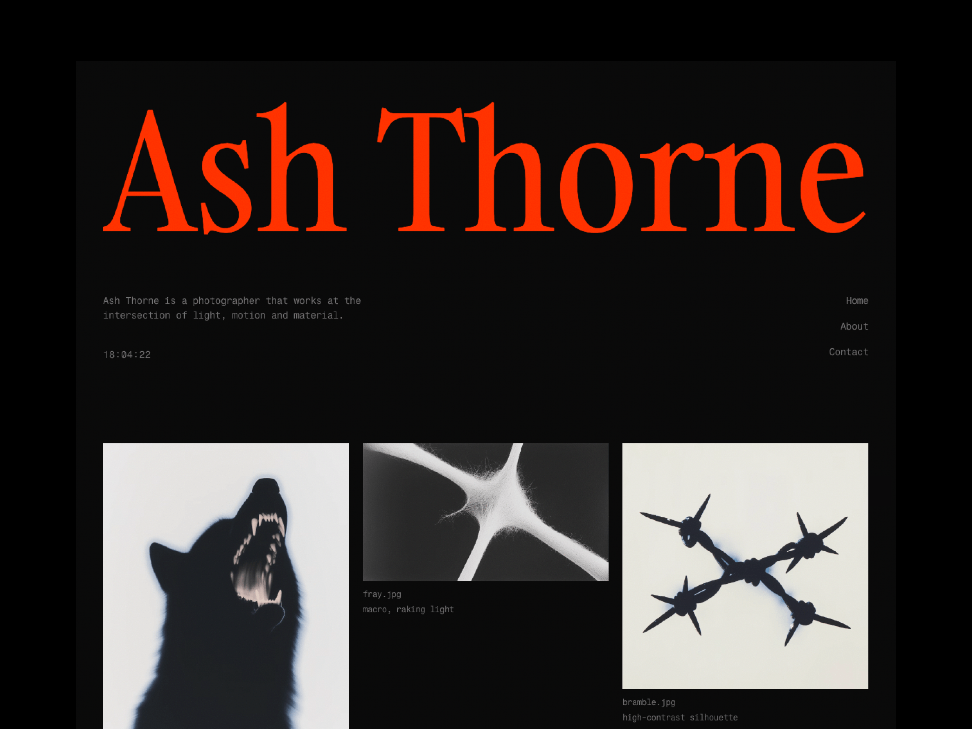 Ash Thorne