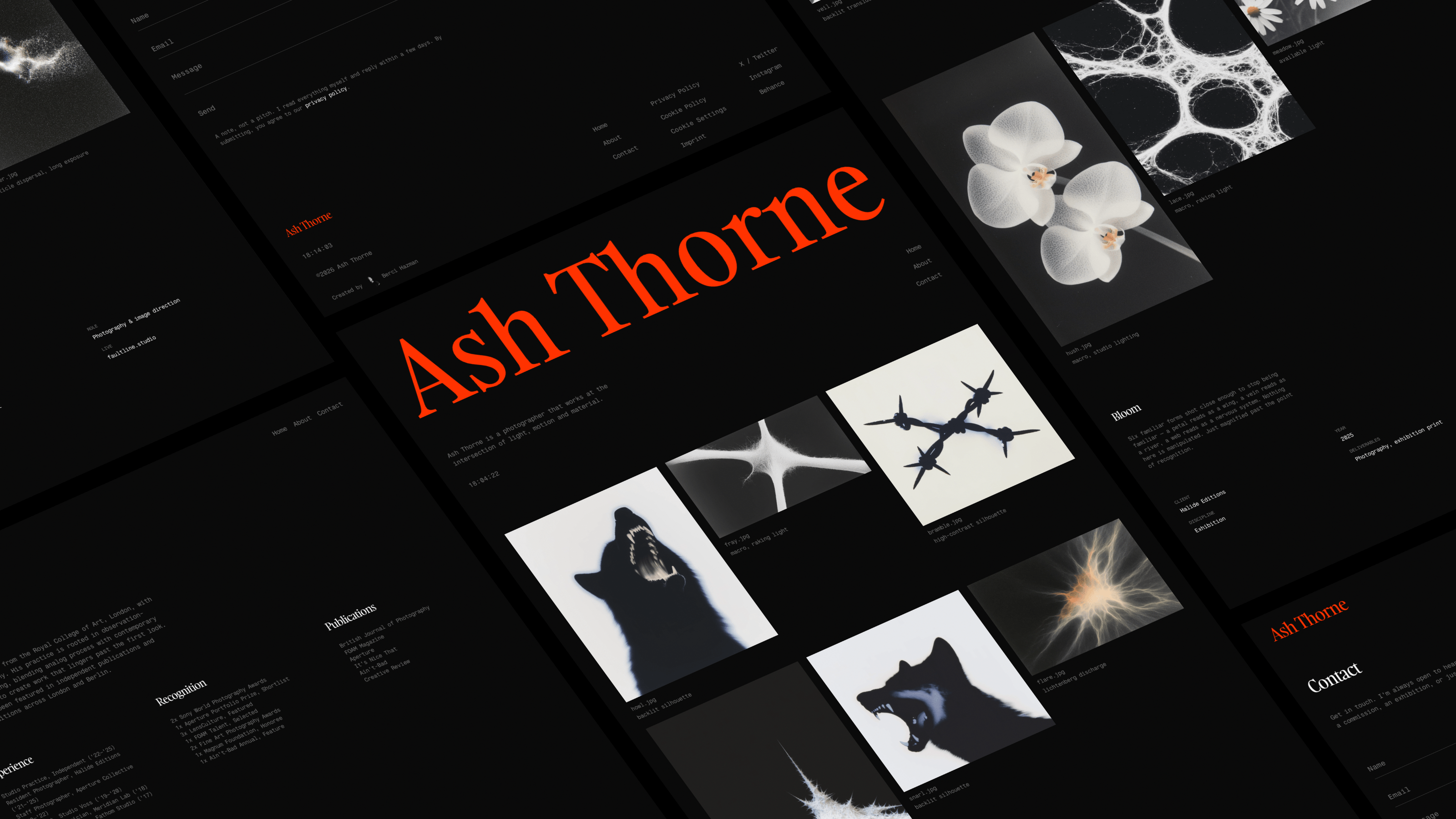 My new template, Ash Thorne was just published yesterday and I think it got a great feedback from the Framer community. Huge thanks to everyone who liked it or commented something nice.Make sure to check it out if you missed it yesterday!