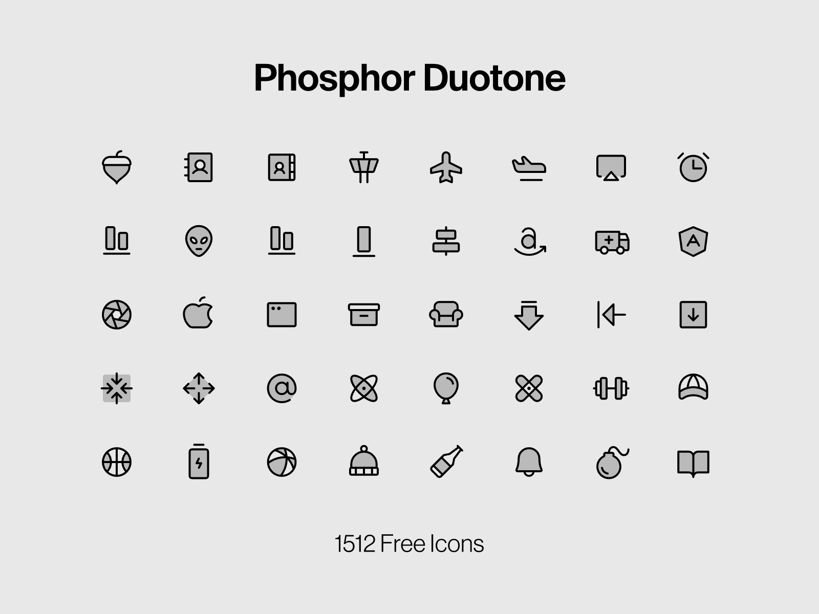 Phosphor Duotone