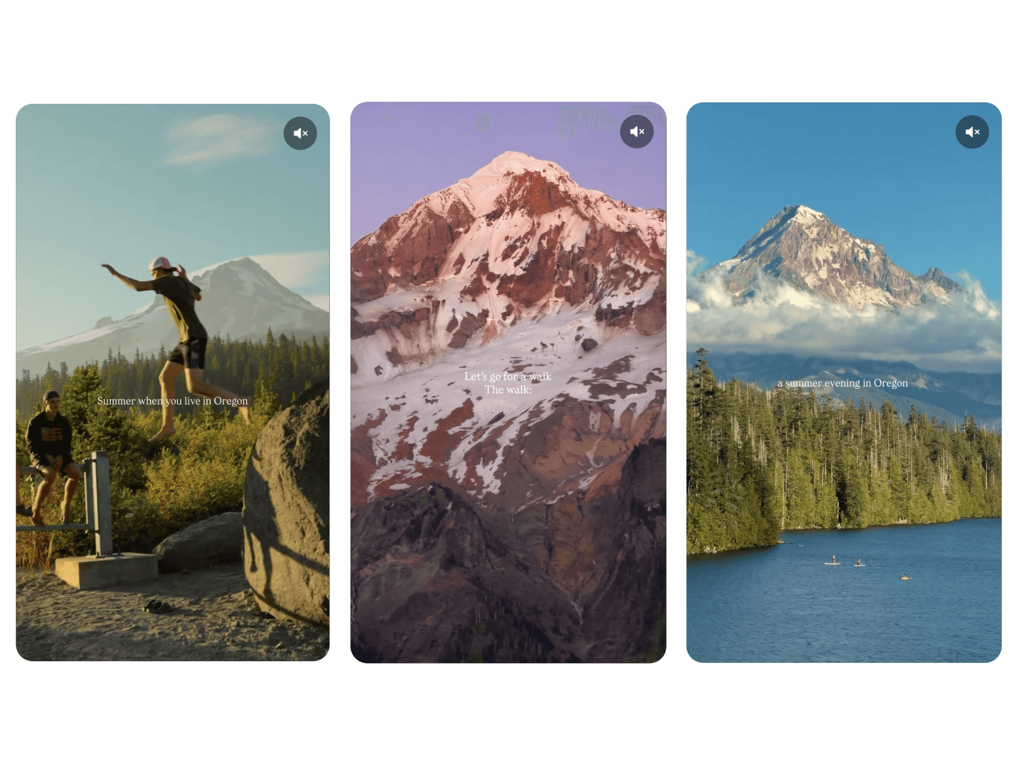 Reel Video Carousel