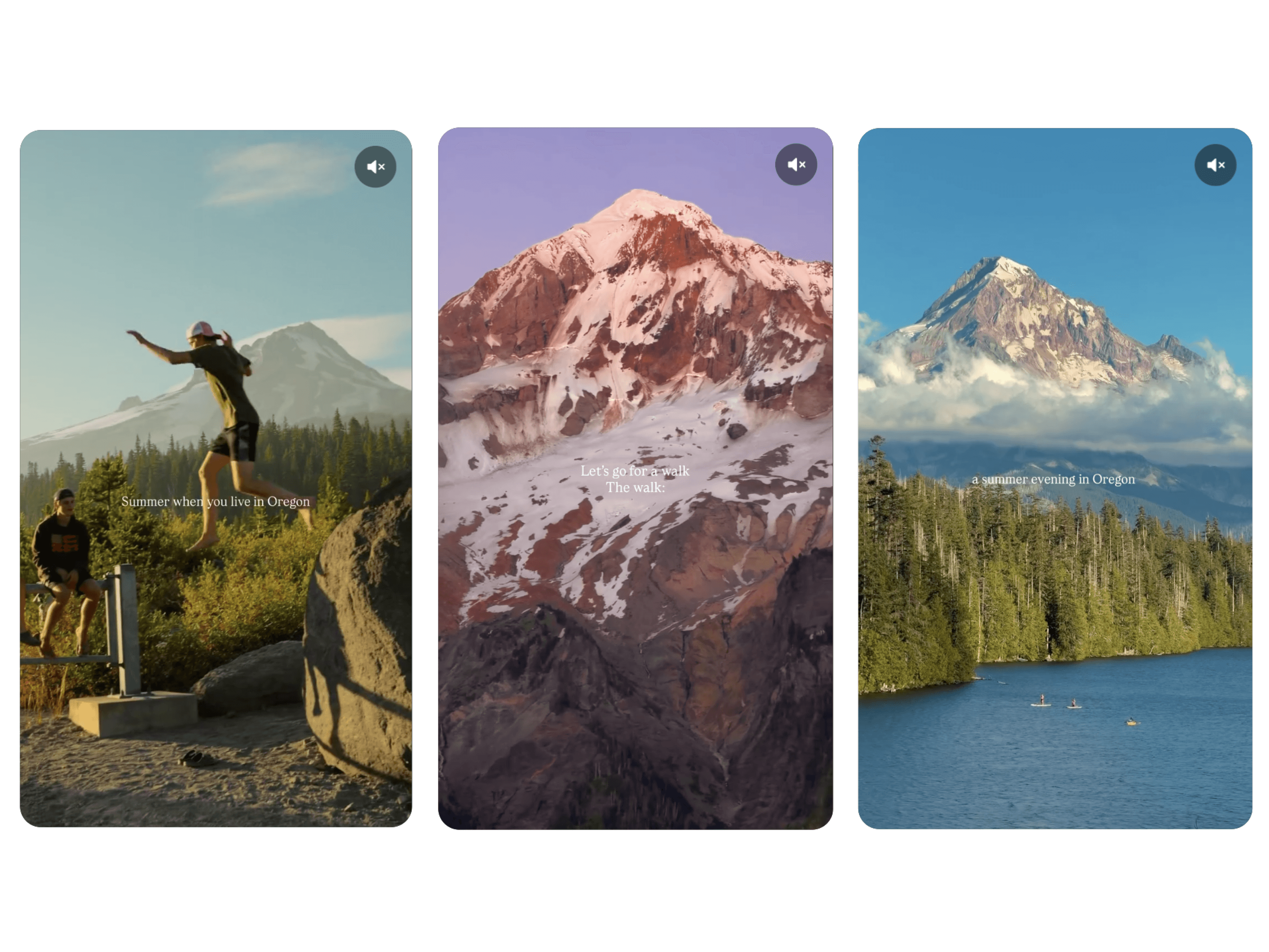 Reel Video Carousel