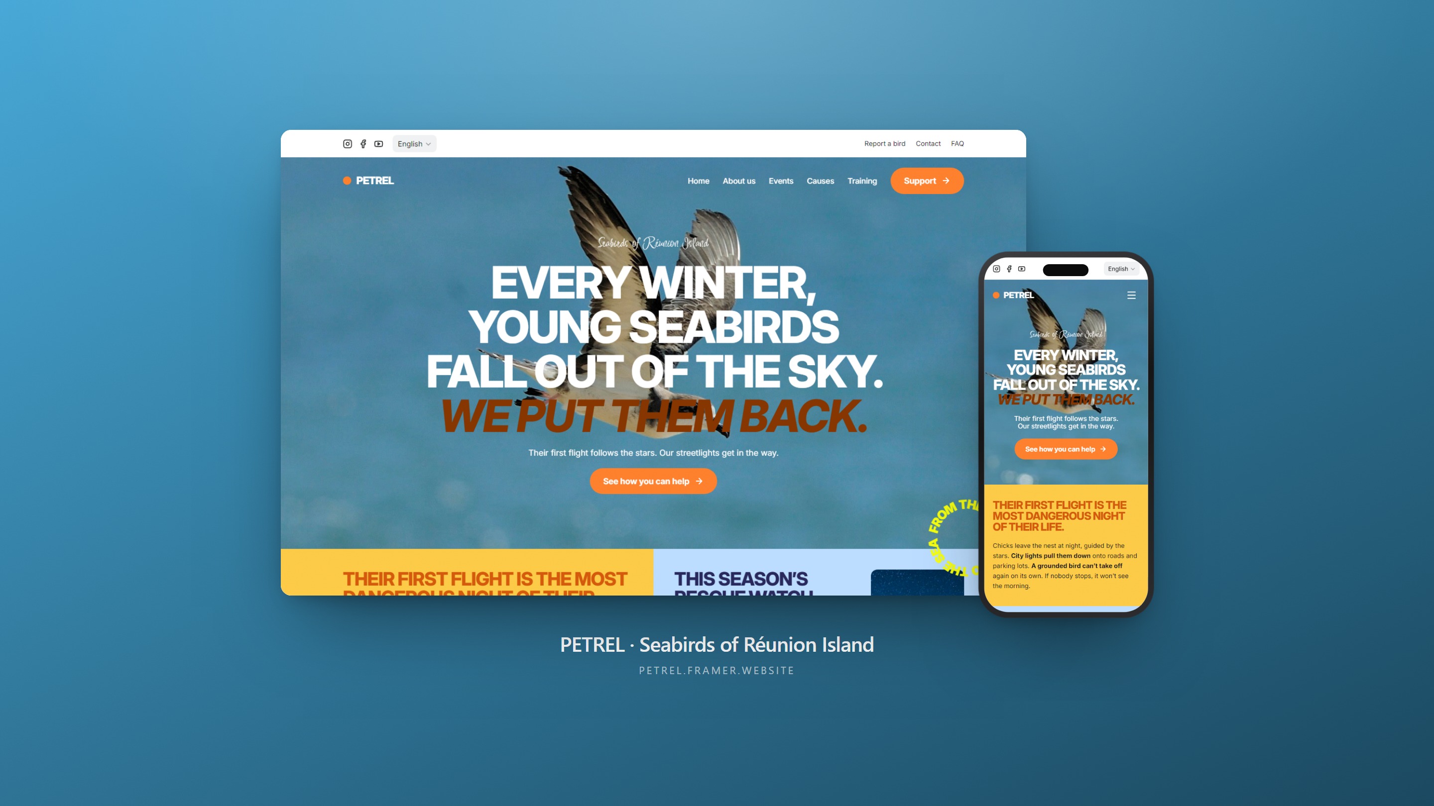 Petrel