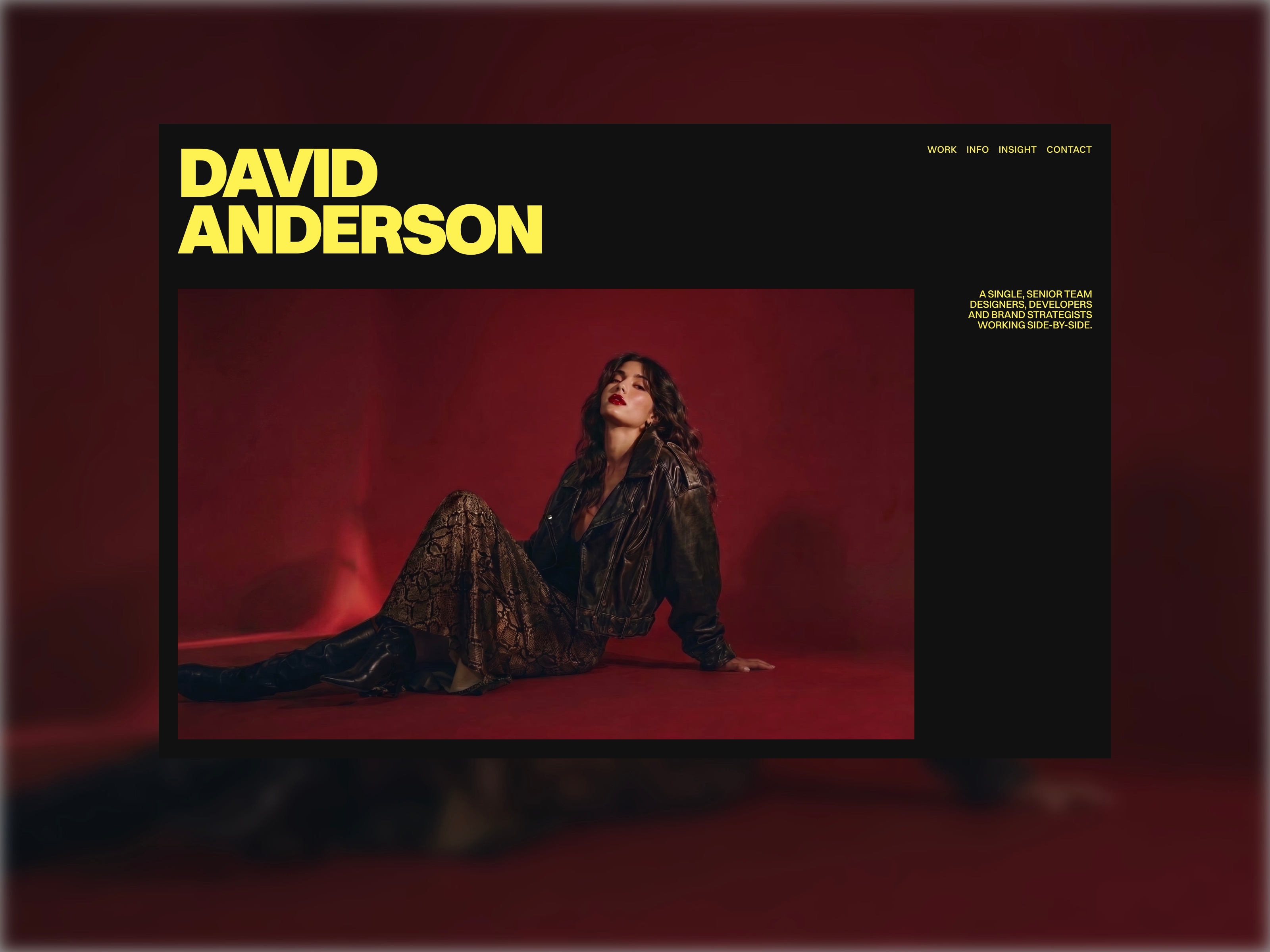 David Anderson