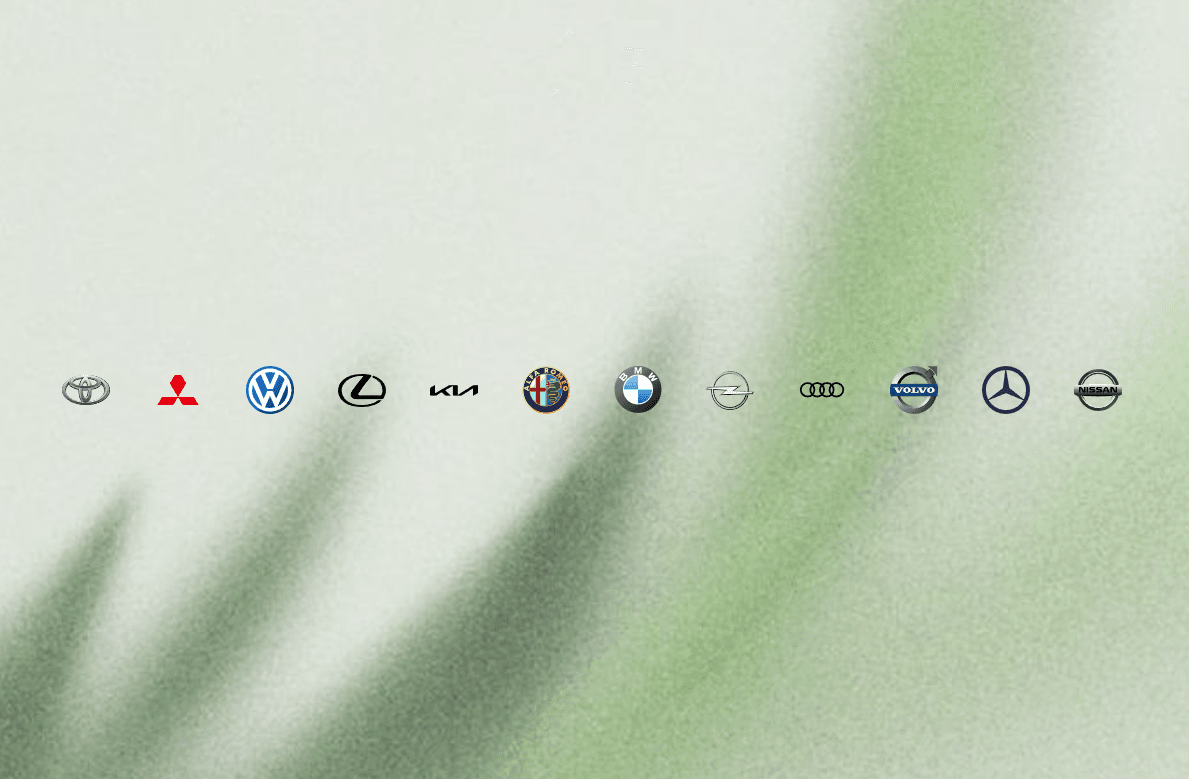 Cars Logos Demo