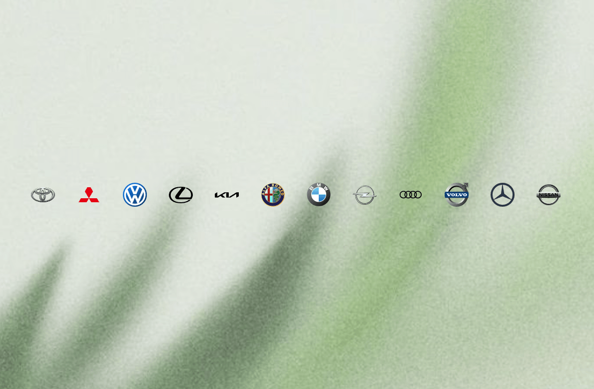 Cars Logos Demo