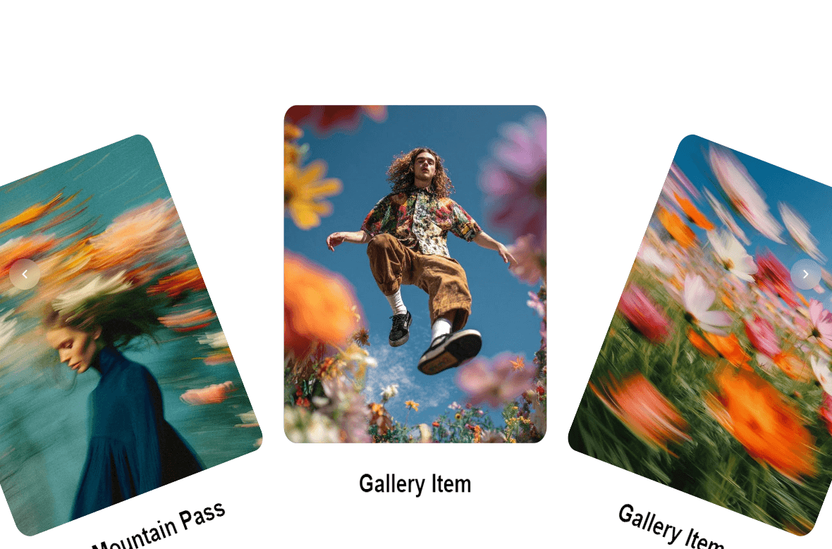 Circular Gallery 3D
