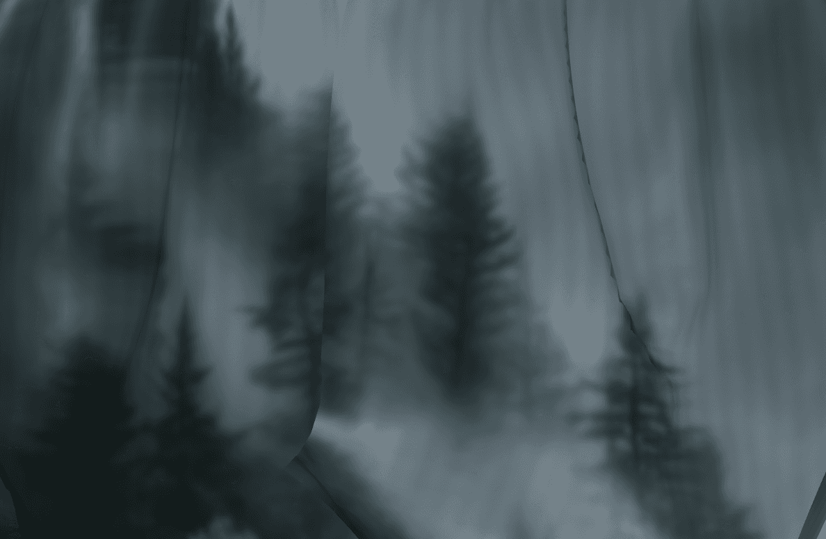 Sheer Veil Plastic