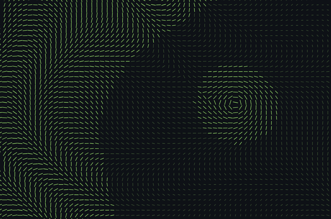 Vector Field BG