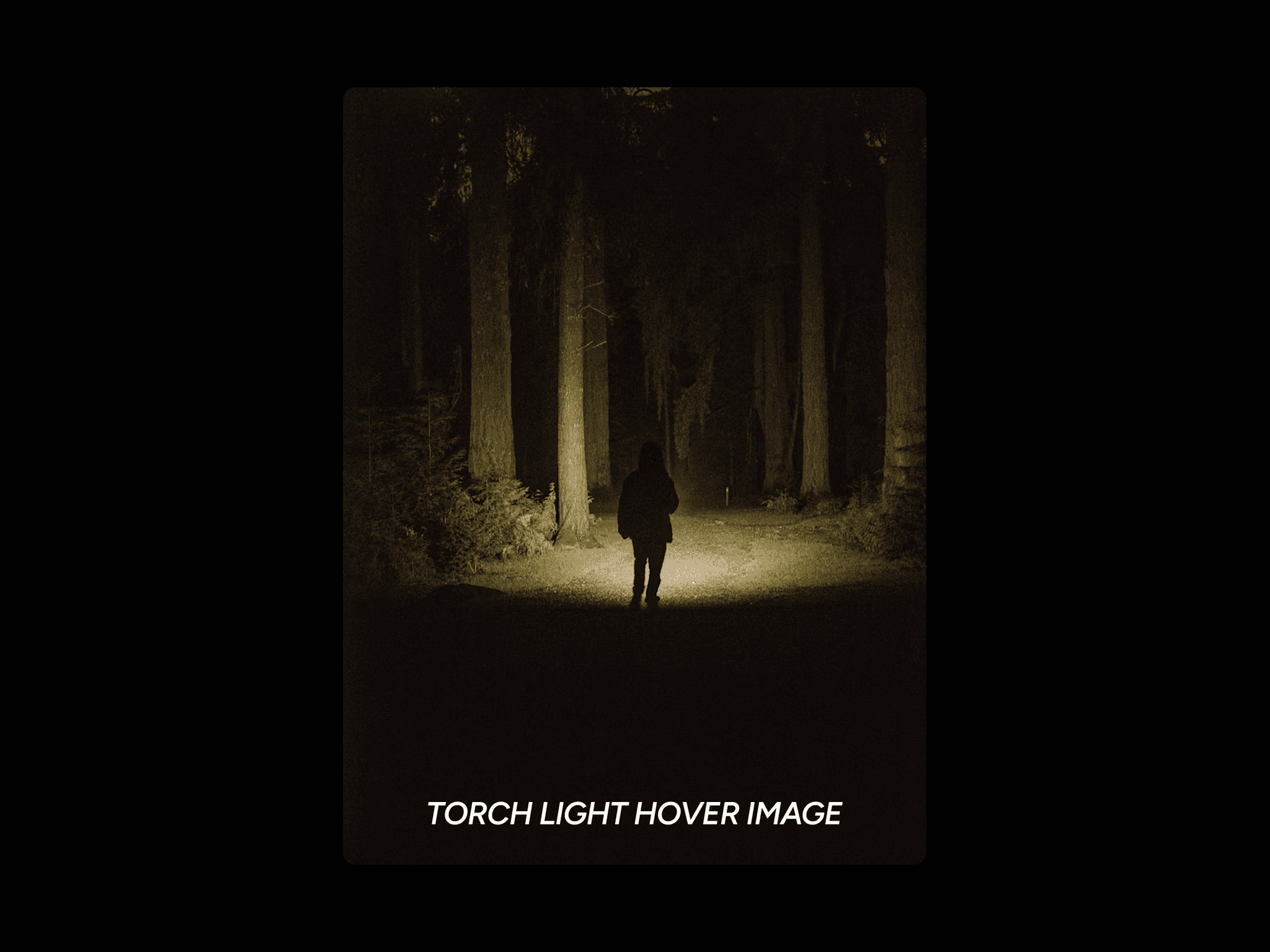 Tourch Light