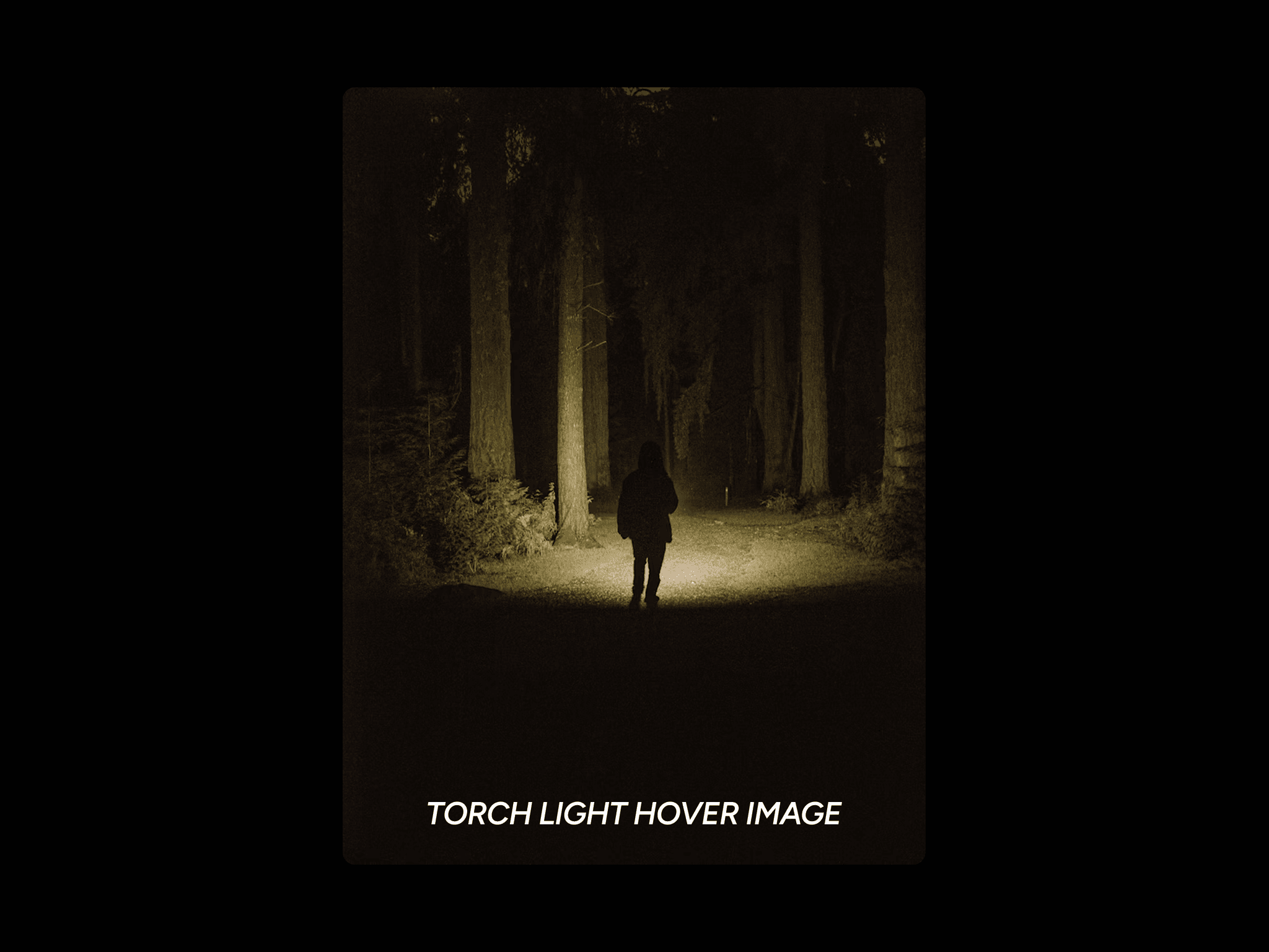 Tourch Light