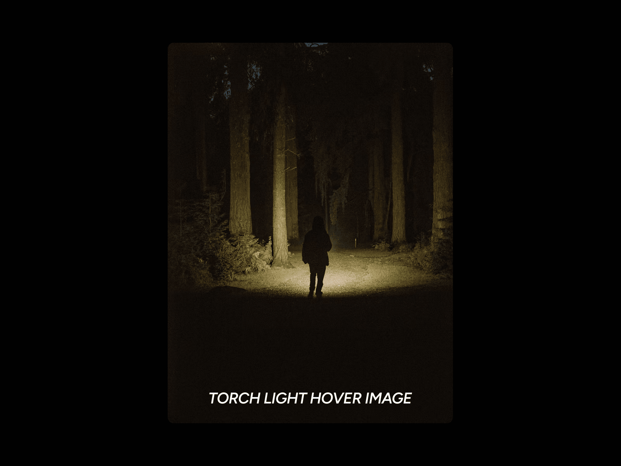 Tourch Light