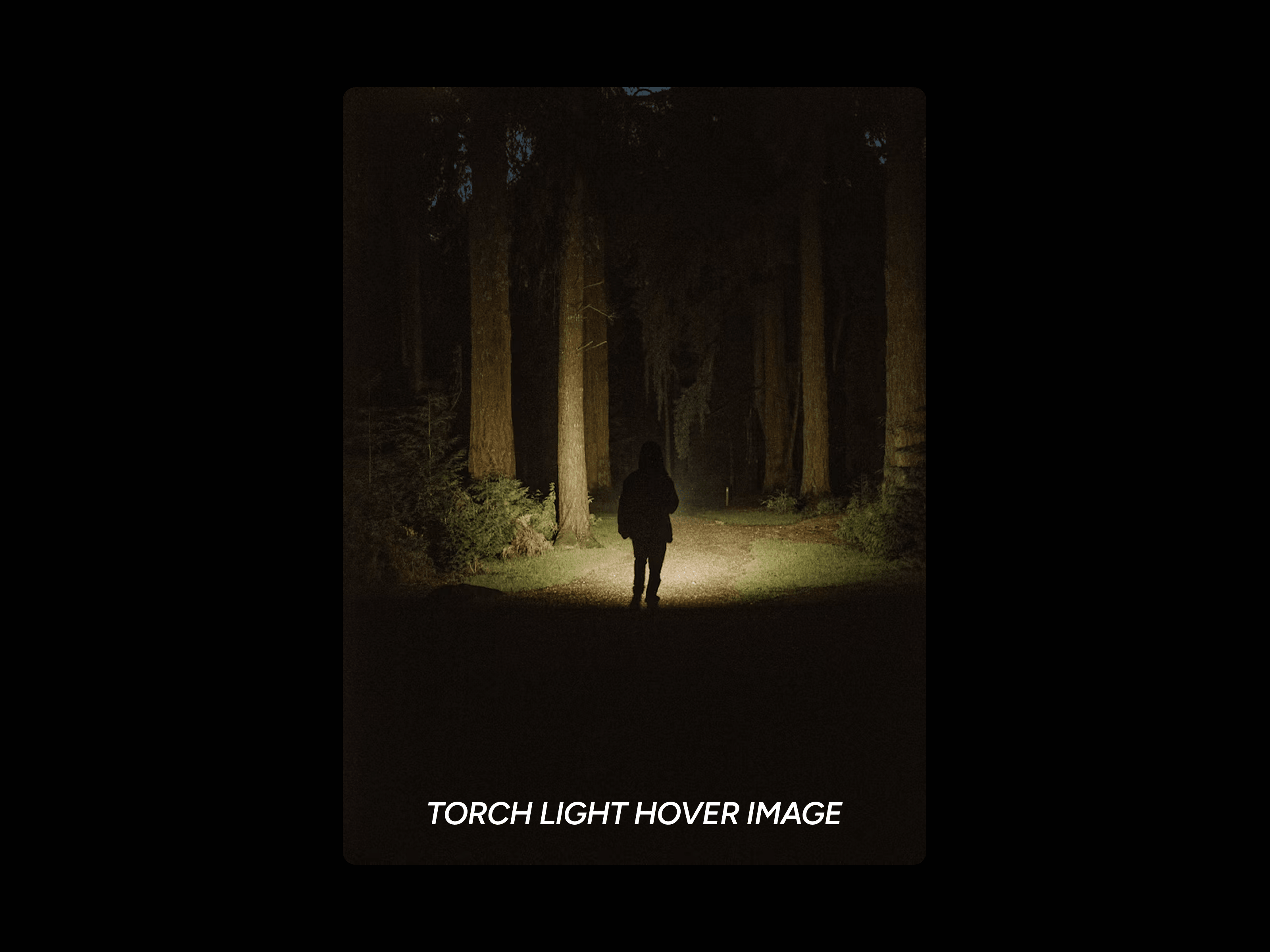 Tourch Light