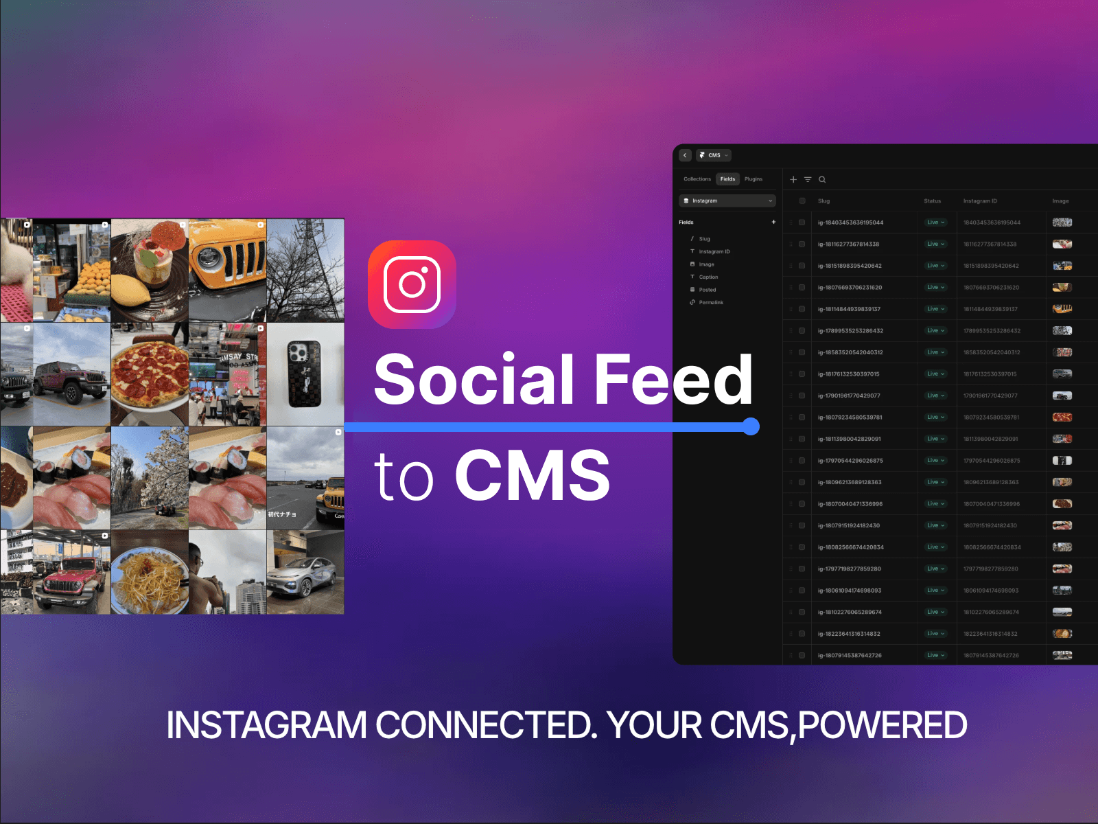 Social Feed to CMS
