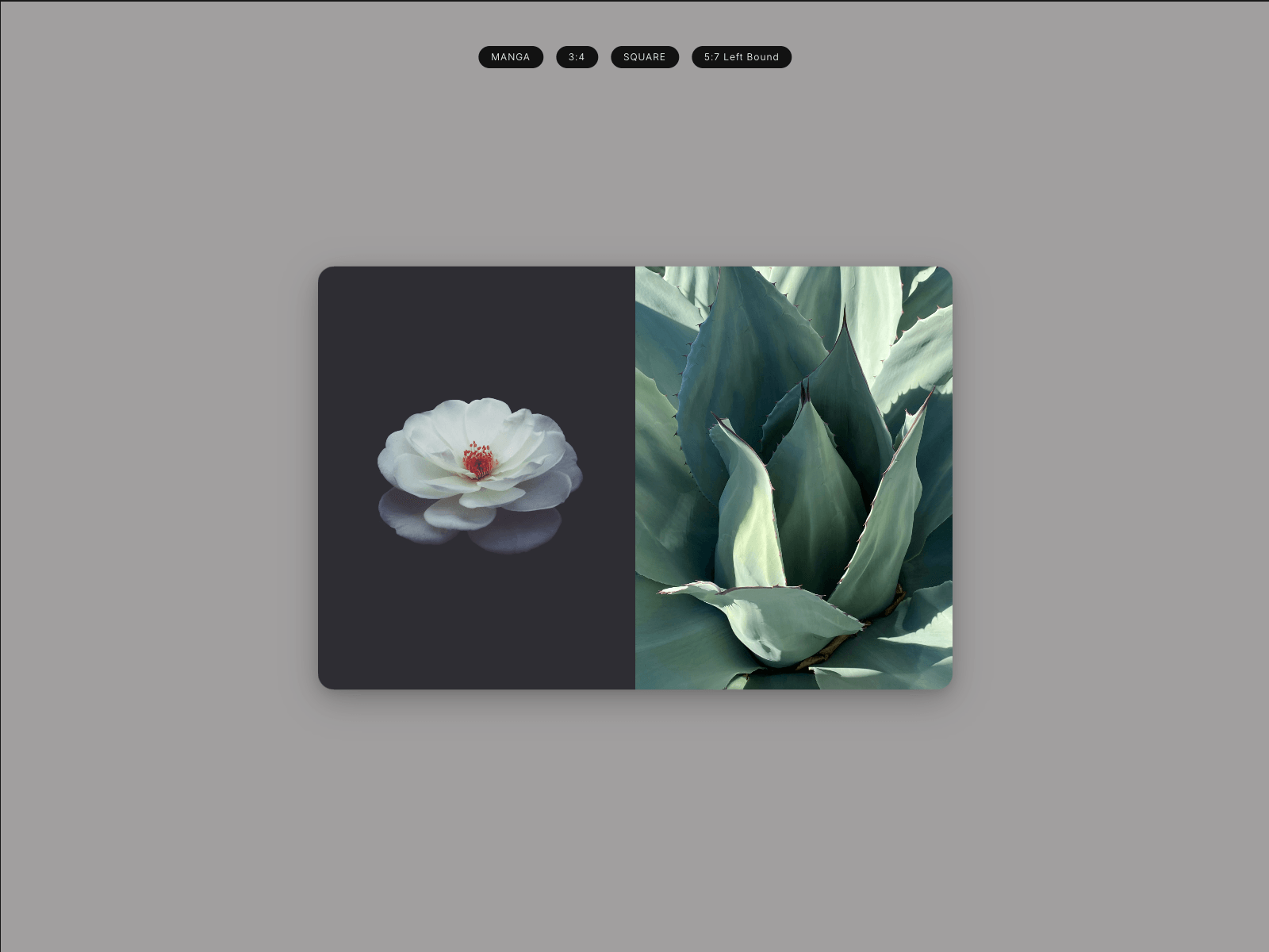3D Flipbook