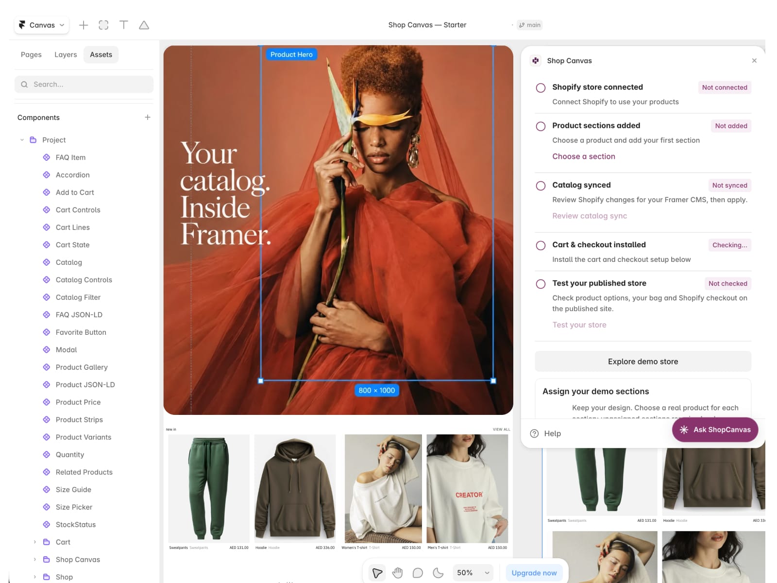 Shop Canvas