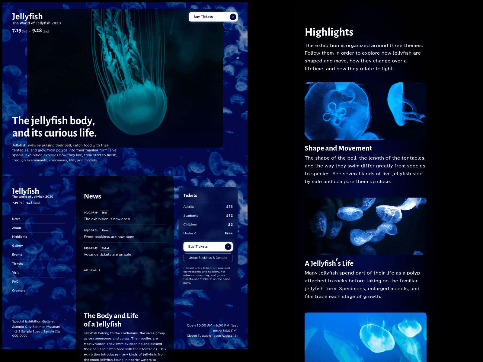 Jellyfish