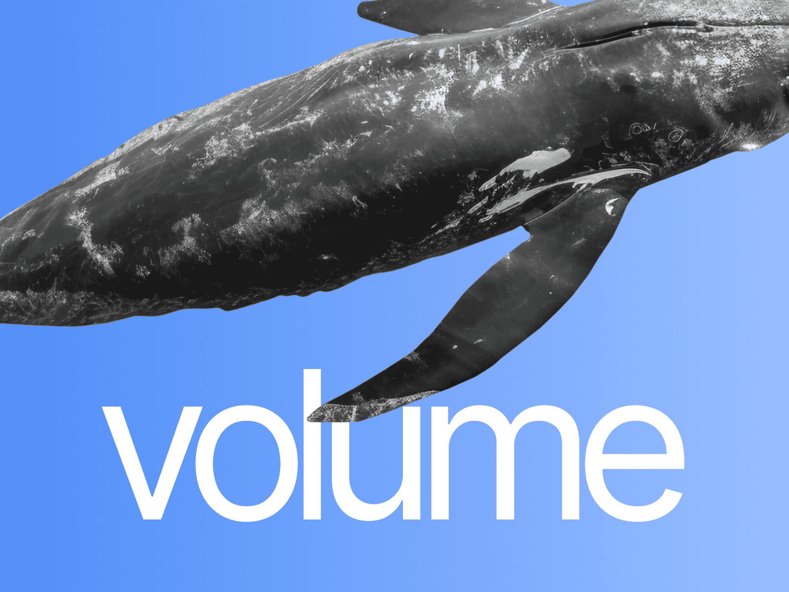 VOLUM