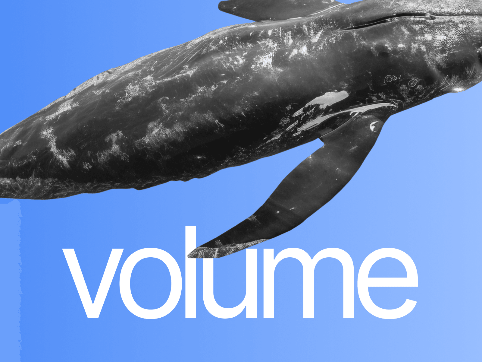 VOLUM