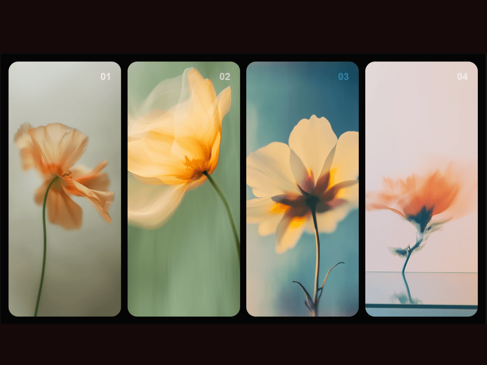 Revel image Gallery