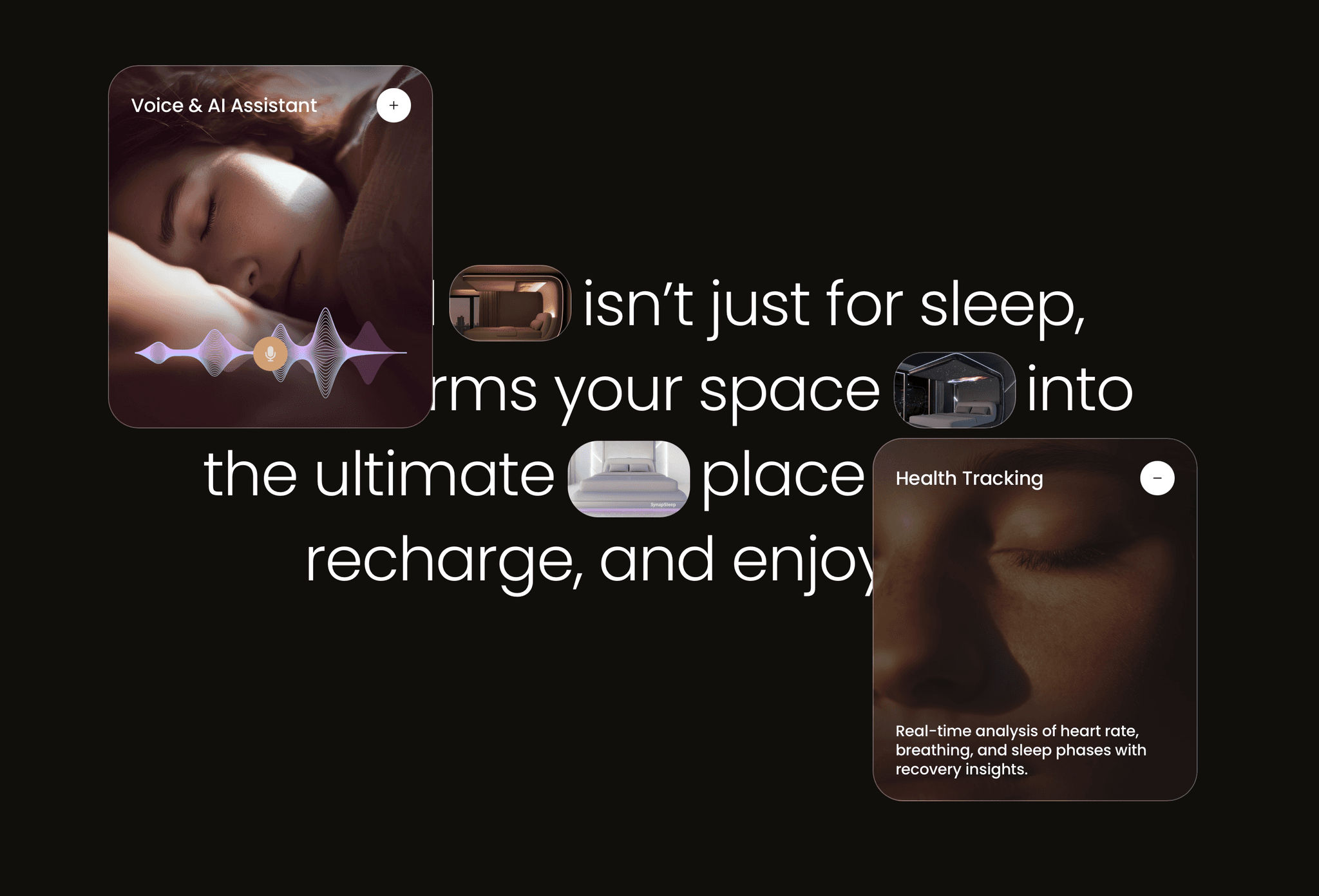 Synapsleep
