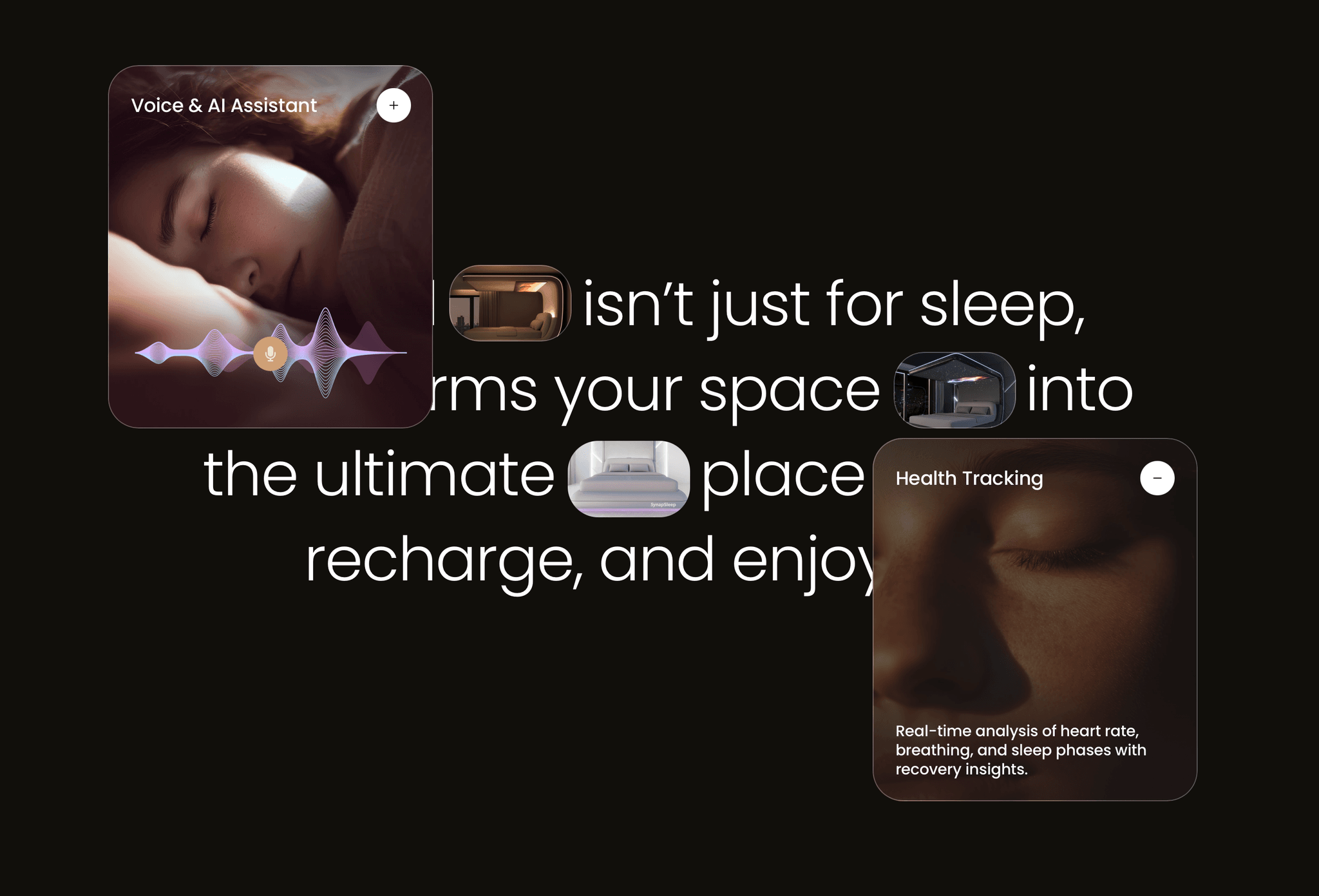 Synapsleep