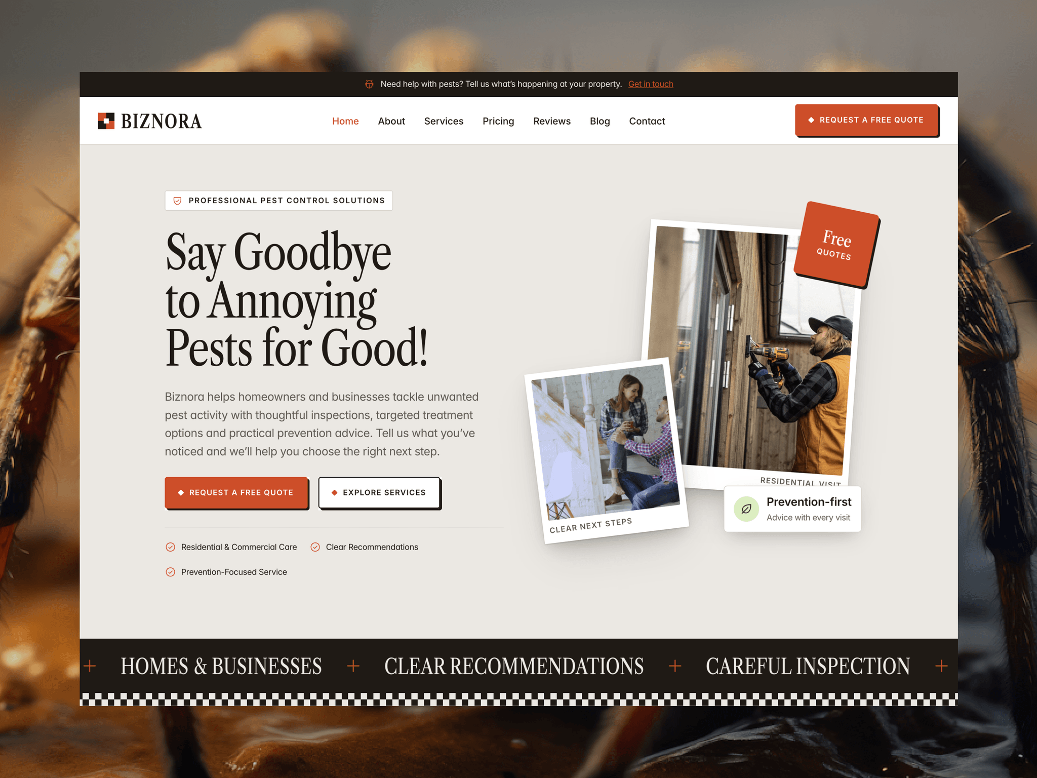 Biznora