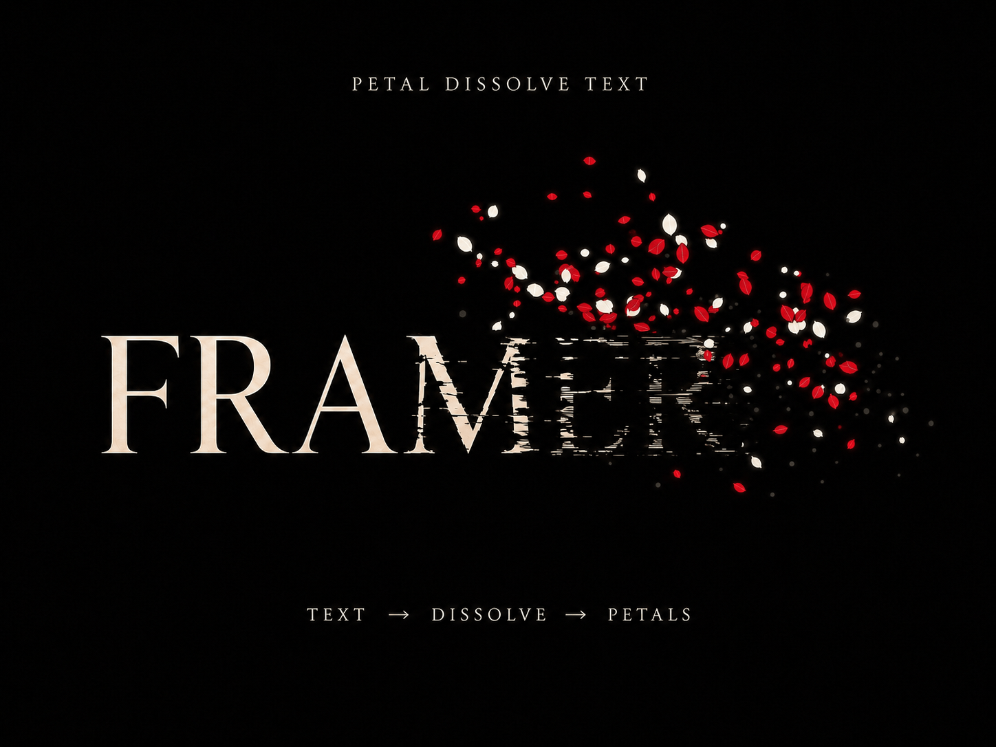 Petal Dissolve Text