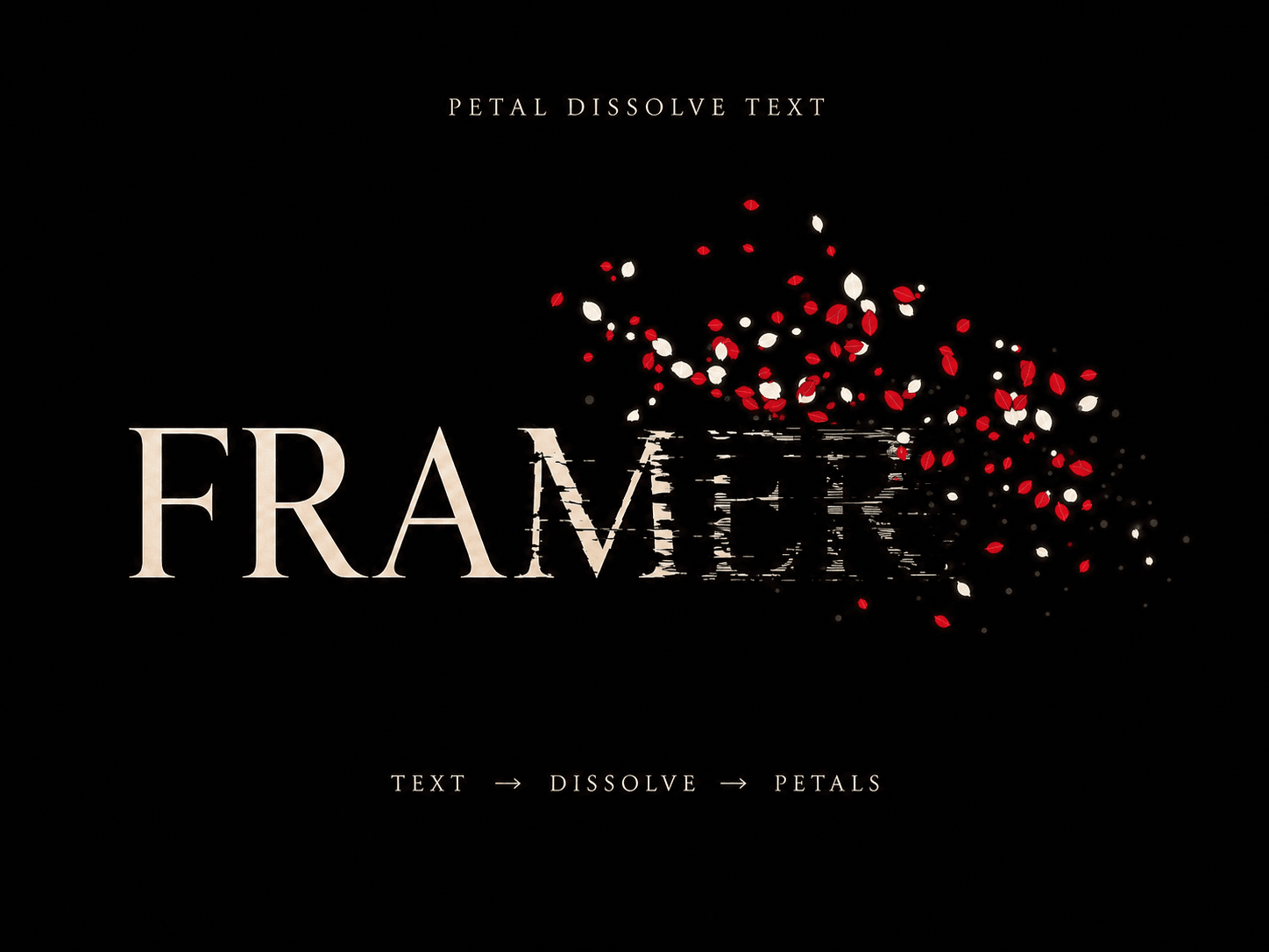 Petal Dissolve Text