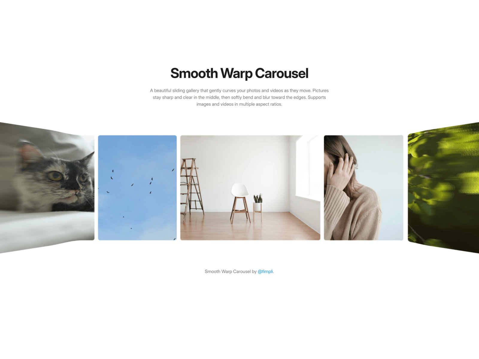 Smooth Warp Carousel