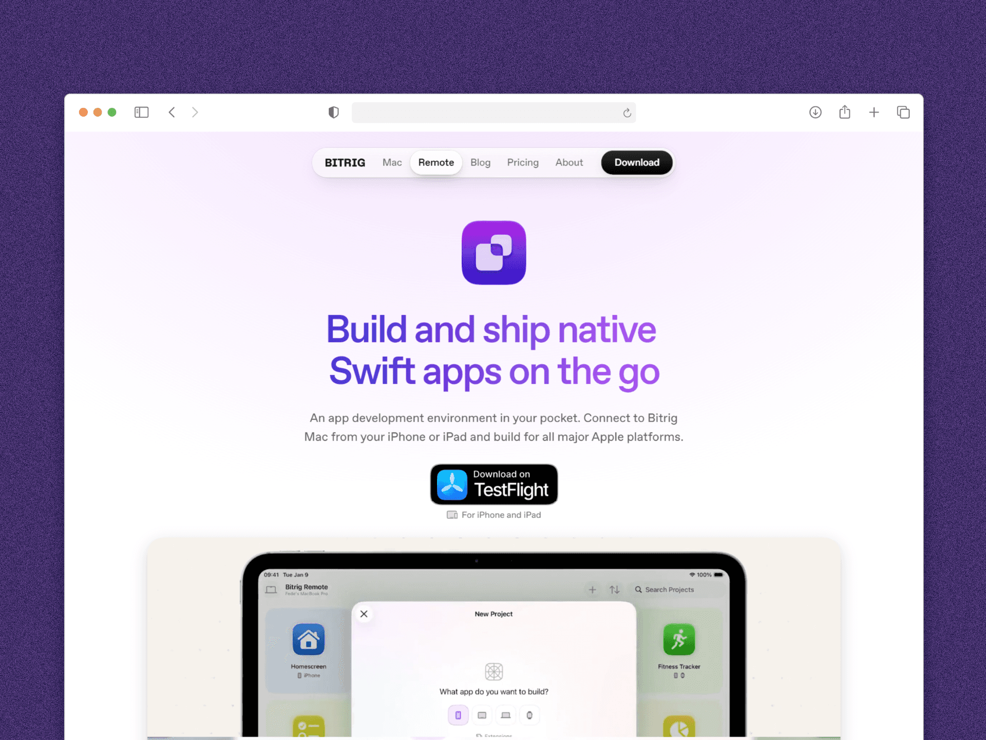 Bitrig AI