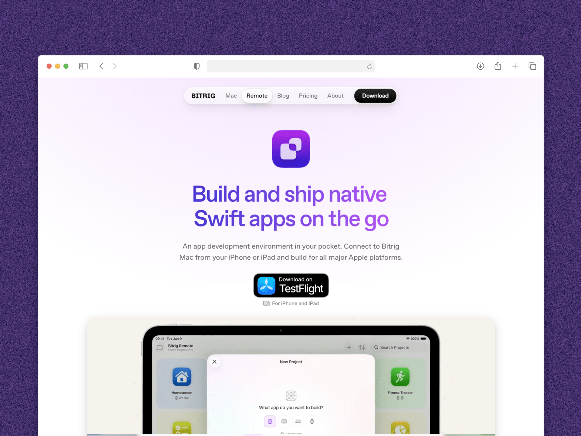 Bitrig AI