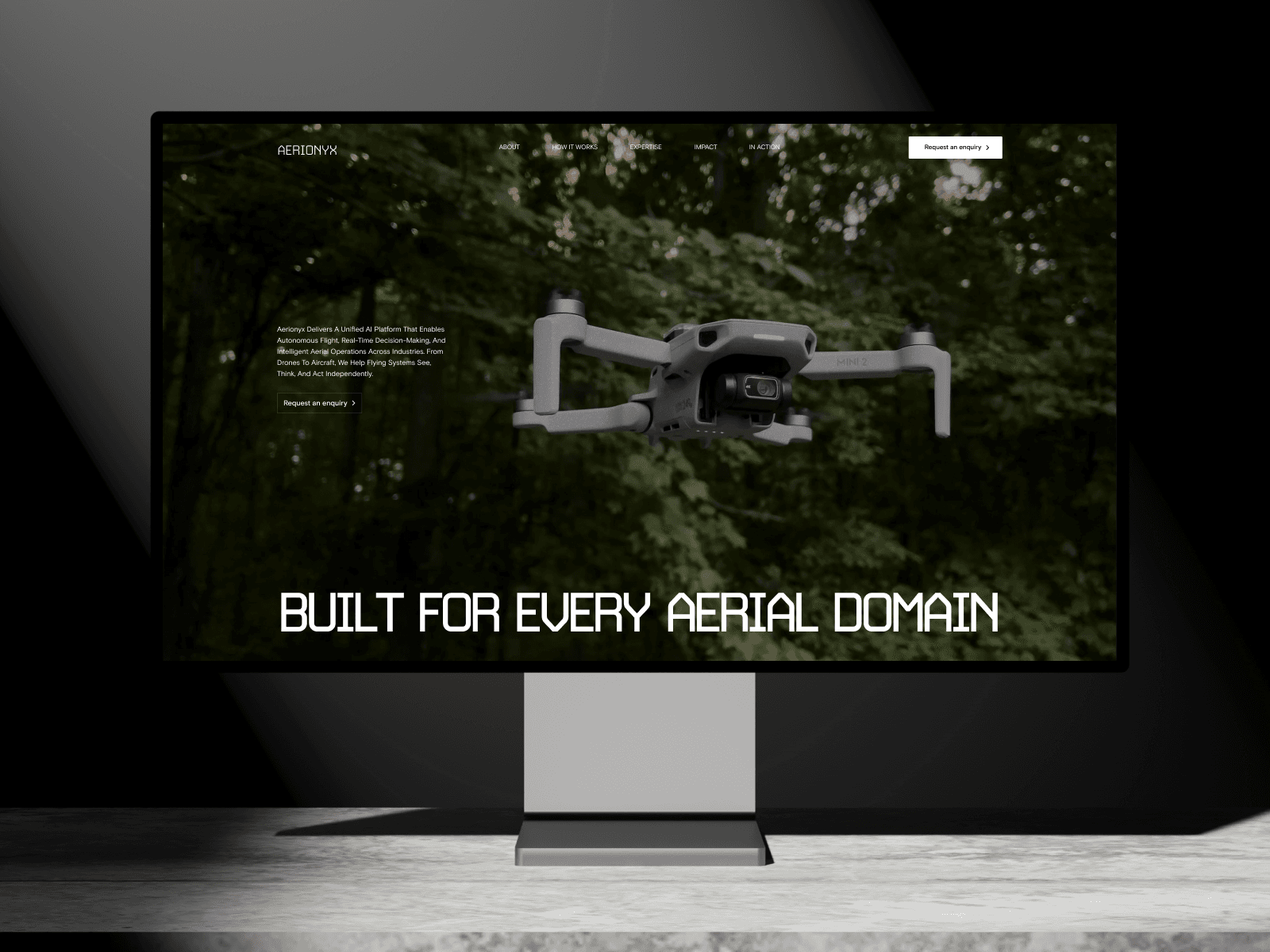 Aerionyx