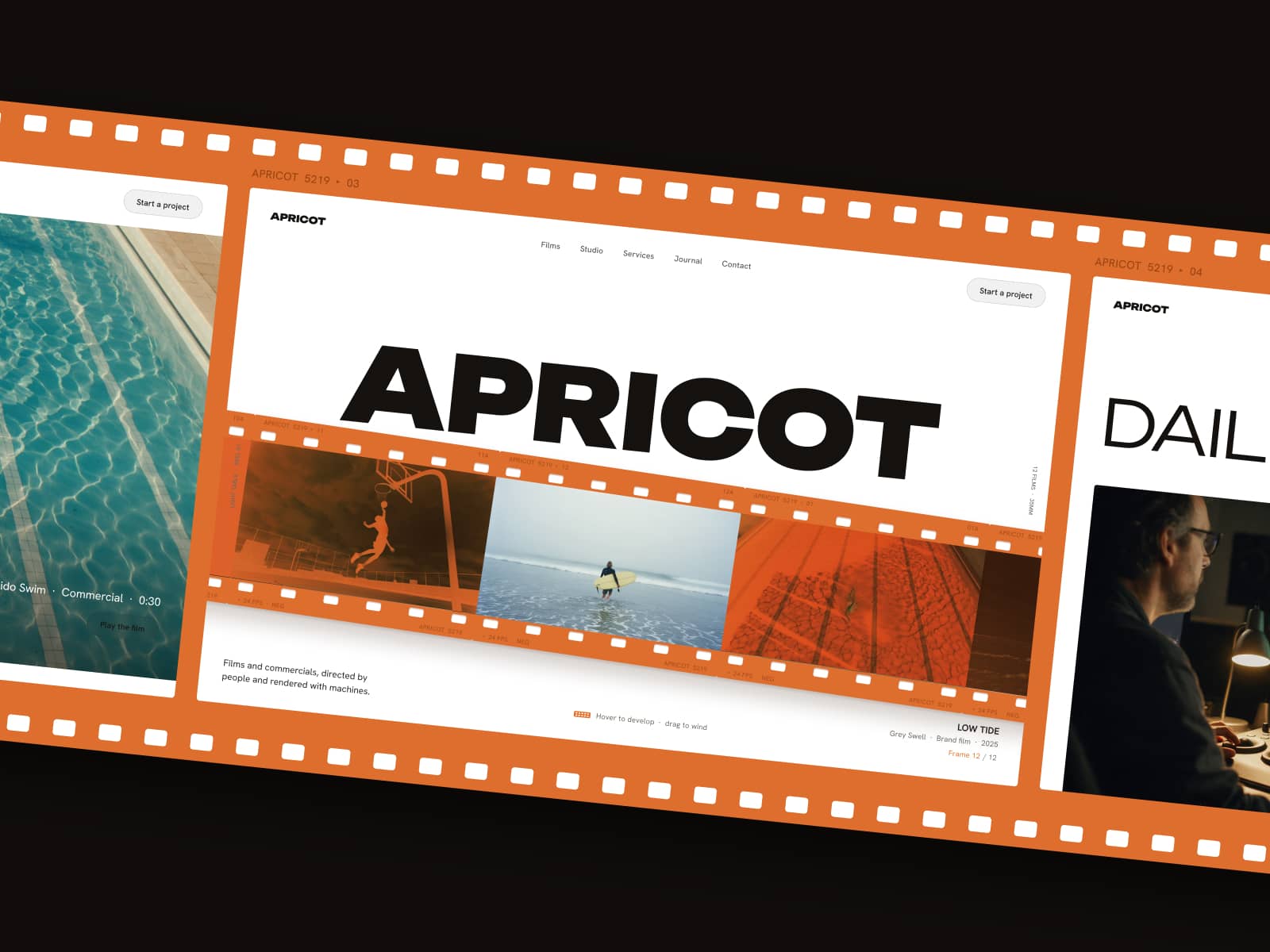 Apricot