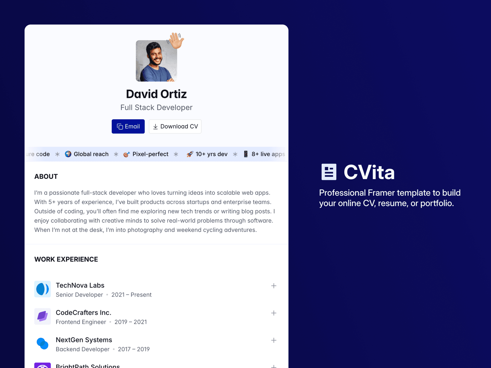 CVita - CV Template