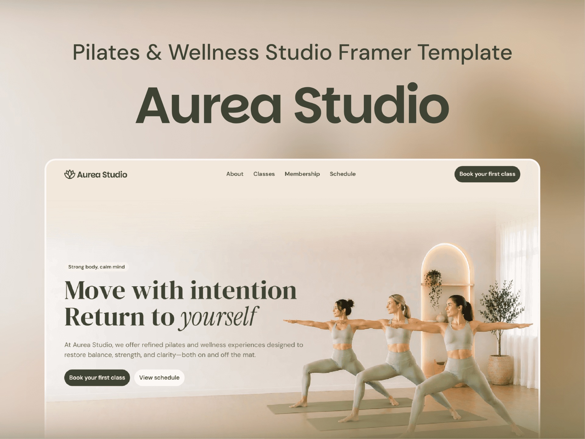 Aurea Studio