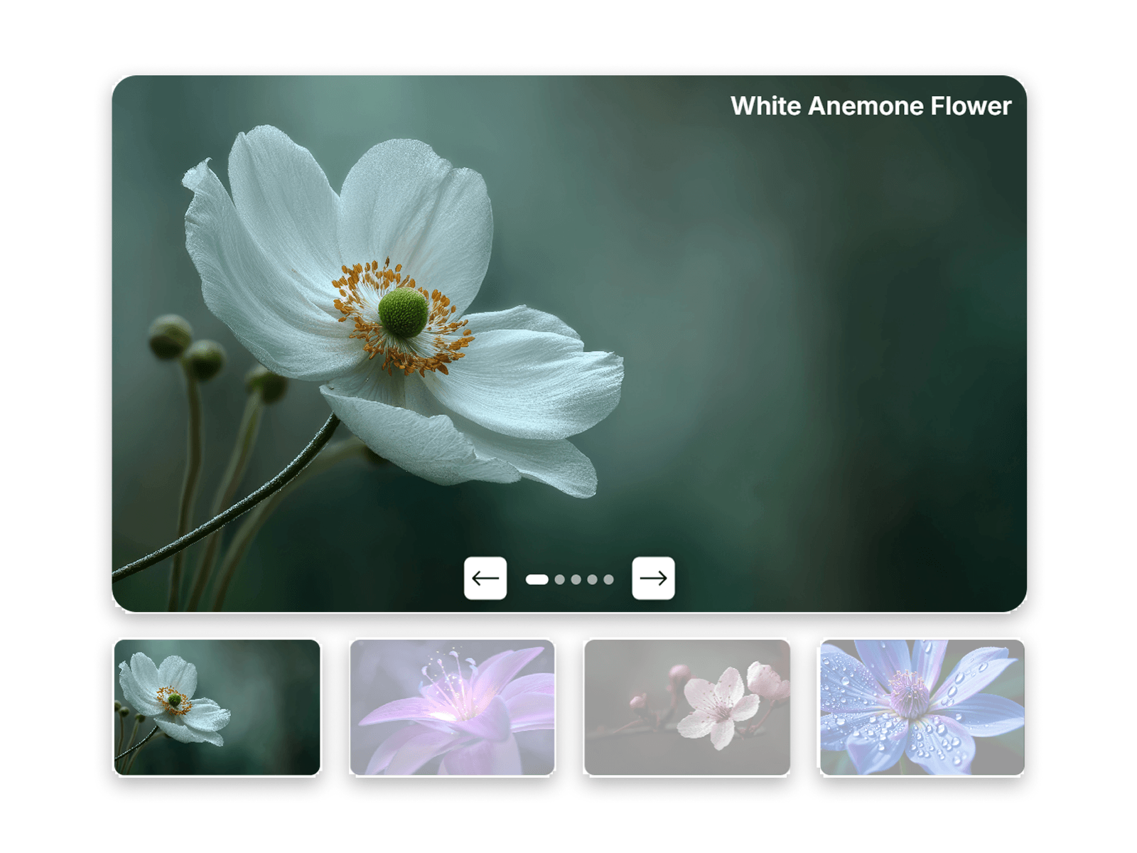 Thumbnail Slider Max
