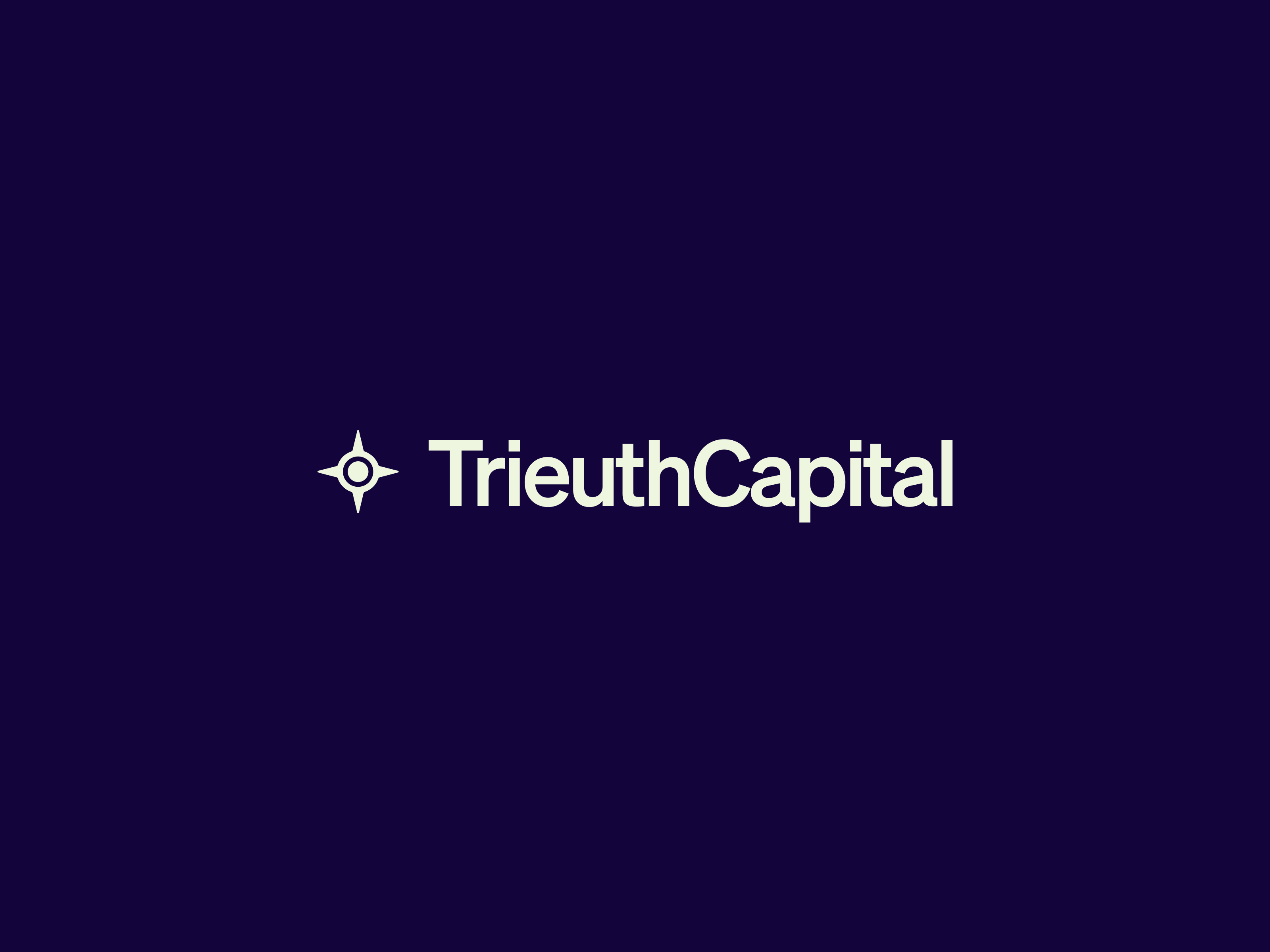 Venture Capitalist