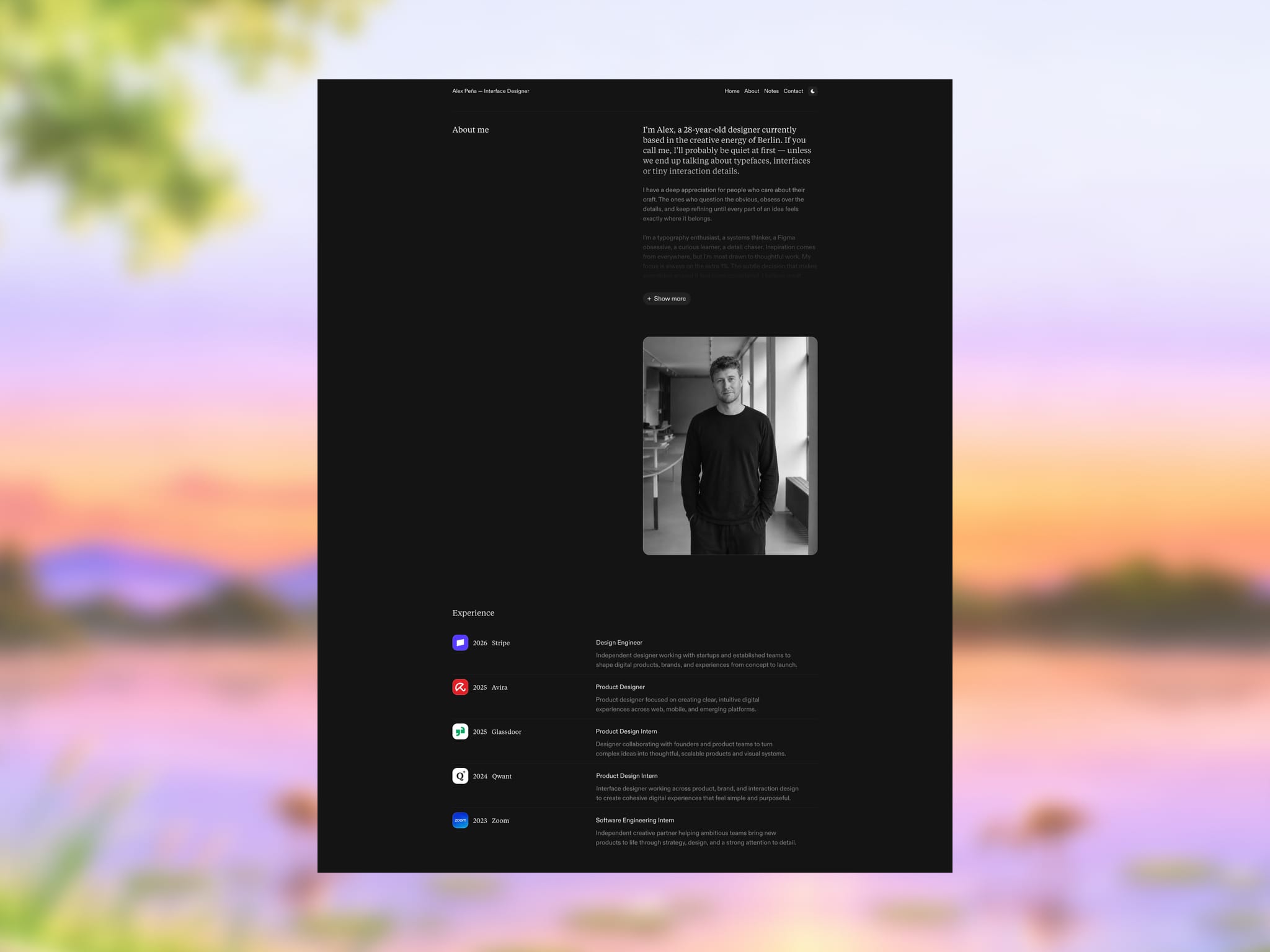 PortfolioResume
