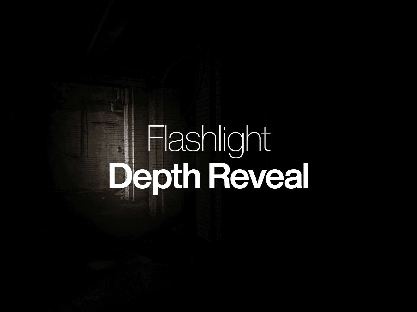 Flashlight Reveal
