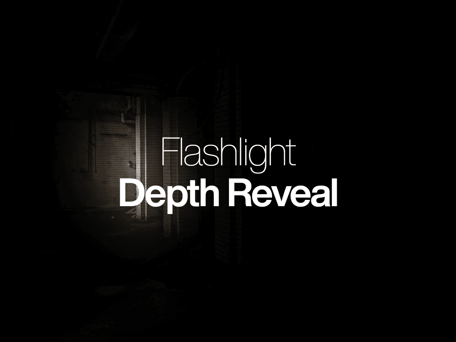 Flashlight Reveal