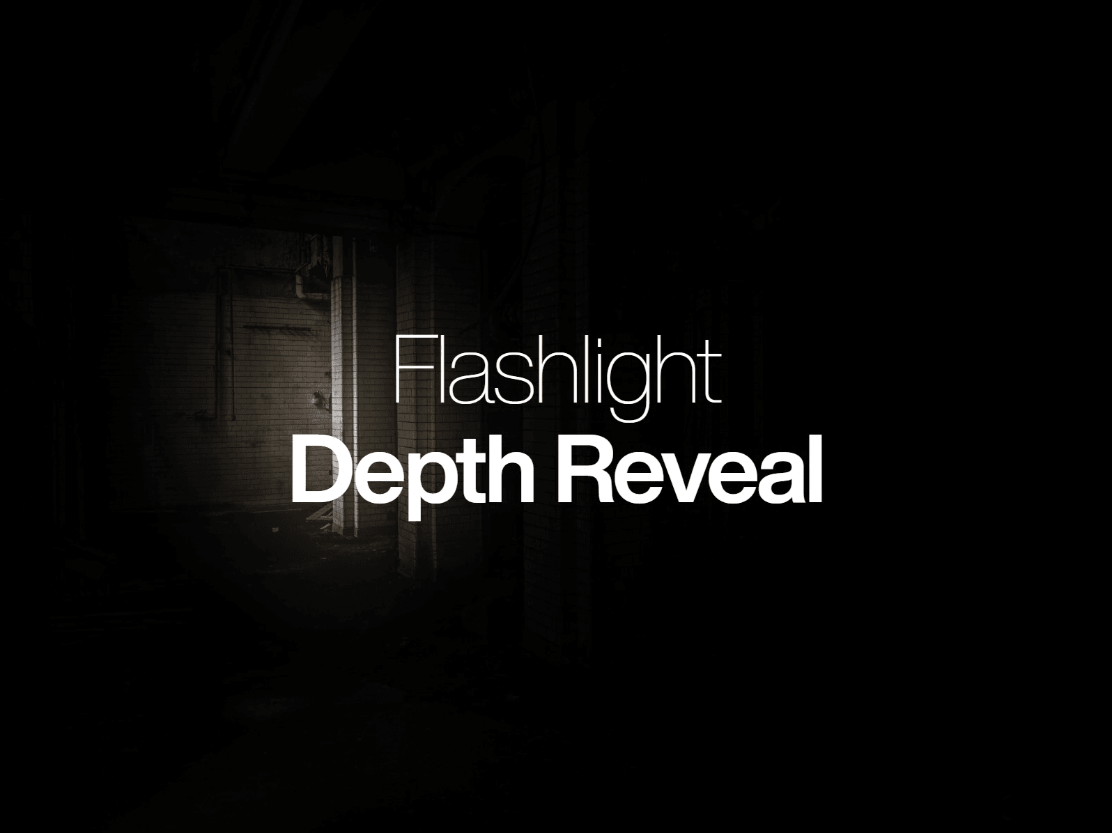 Flashlight Reveal