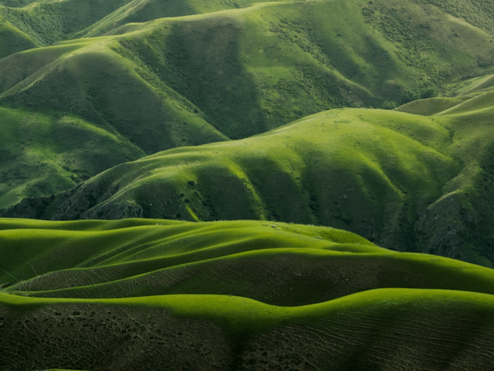 3D Vertical Slider