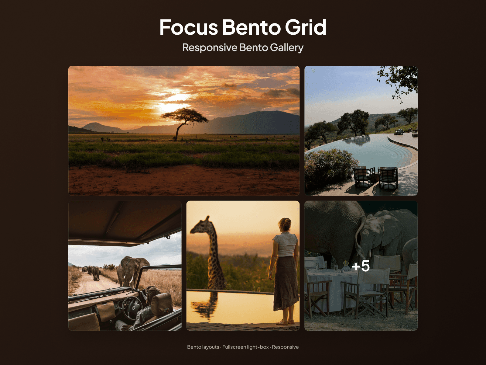 Focus Bento Grid