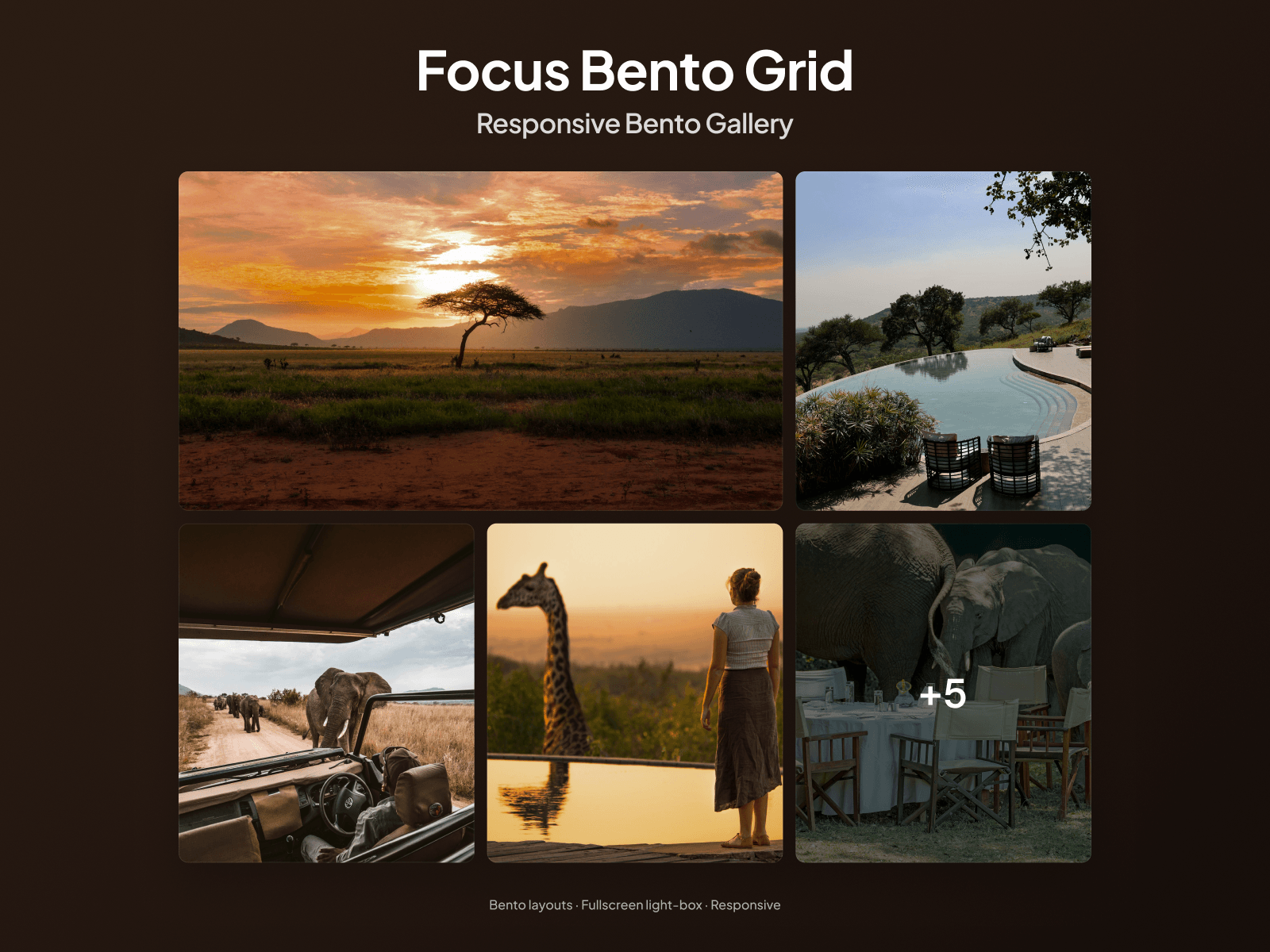 Focus Bento Grid