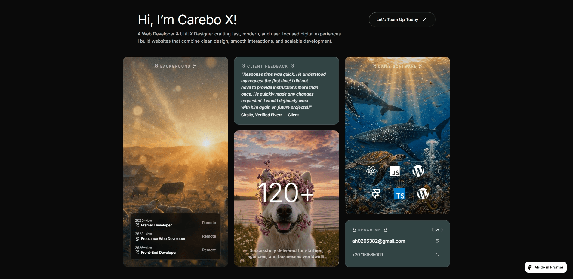 Portfolio Bento Grid