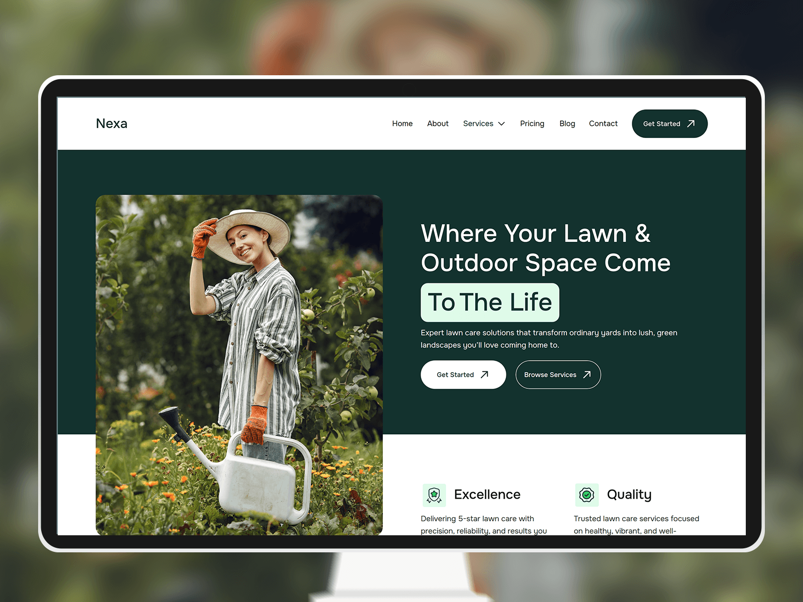 Nexa Lawn Care