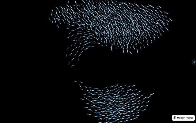 Fish Vector Line Pattern Living Network — Component for Framer