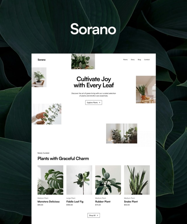 iBook Responsive Website Template by nxson — Framer Marketplace